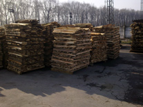 Firewood