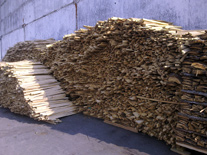 Firewood